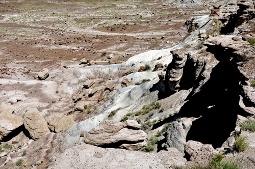 Jasper Forest in the Petrified Forest